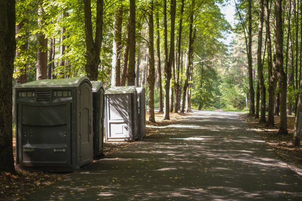 Best Sanitation services for porta potties  in Questa, NM